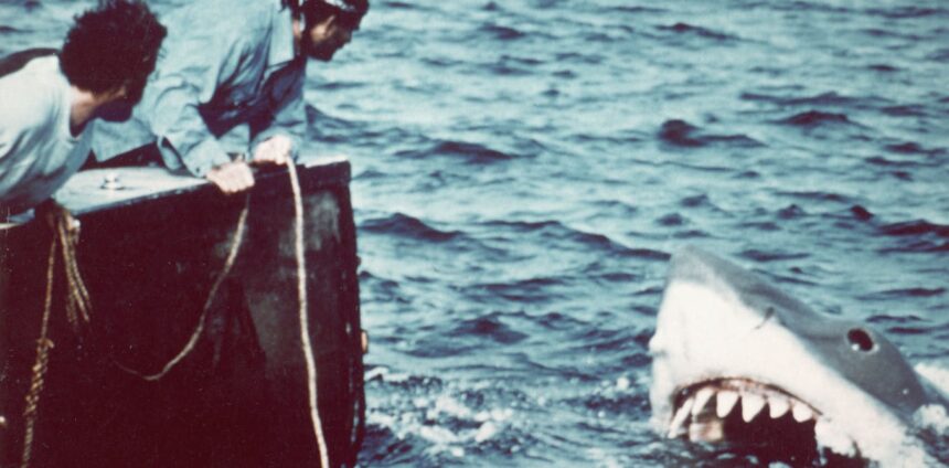 50-anos-depois-de-“tubarao”,-os-pesquisadores-poem-fim-ao-mito-do-peixe-devorador-de-pessoas
