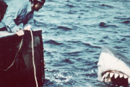50-anos-depois-de-“tubarao”,-os-pesquisadores-poem-fim-ao-mito-do-peixe-devorador-de-pessoas