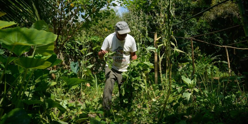 edital-seleciona-36-projetos-para-fortalecer-agricultura-familiar