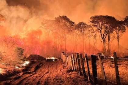 acoes-da-operacao-incendios-2025-da-pf-iniciam-pelo-pantanal