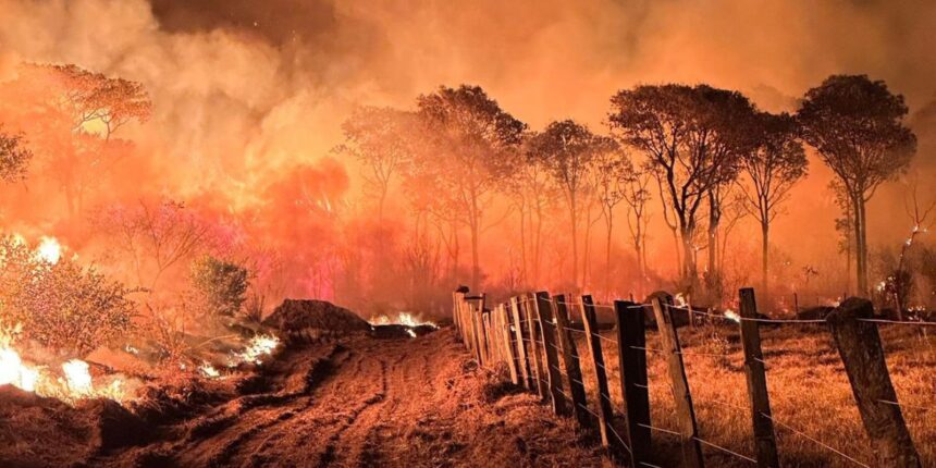 acoes-da-operacao-incendios-2025-da-pf-iniciam-pelo-pantanal