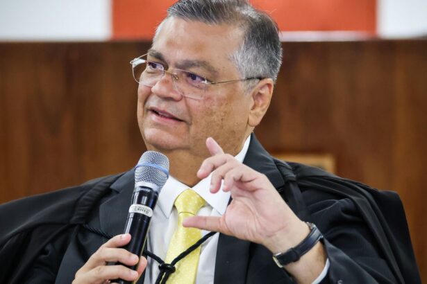 stf-nao-atua-por-interesse-do-governo,-diz-flavio-dino-sobre-emendas