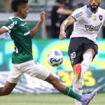 botafogo-e-palmeiras-abrem-oitavas-de-final-do-mundial-de-clubes
