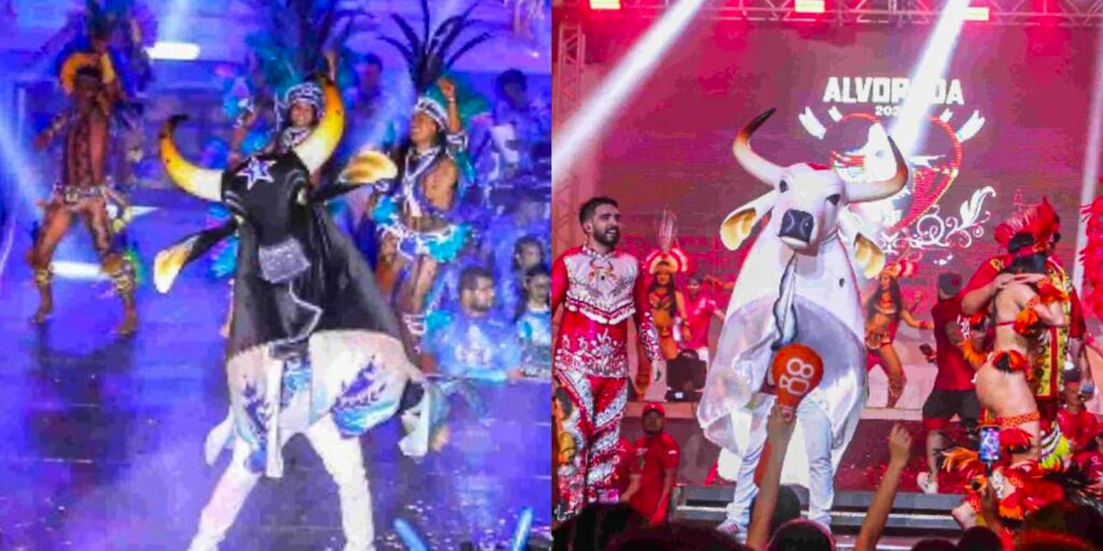 apuracao-do-resultado-do-festival-de-parintins-comeca-nesta-tarde