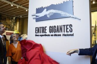 museu-nacional-do-rio-reabre-para-exposicao-sete-anos-apos-incendio