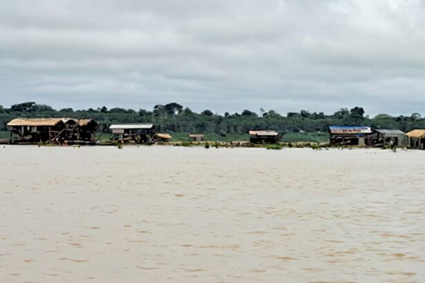 estudo-mapeia-impactos-do-garimpo-ilegal-sobre-trabalhadores-cooptados