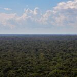 organizacoes-sociais-propoem-plano-para-investimentos-na-amazonia