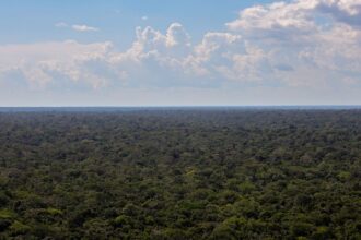 organizacoes-sociais-propoem-plano-para-investimentos-na-amazonia