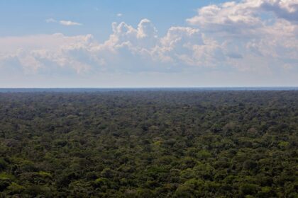 organizacoes-sociais-propoem-plano-para-investimentos-na-amazonia