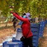 caminhos-da-reportagem:-vale-do-sao-francisco,-o-sertao-tecnologico