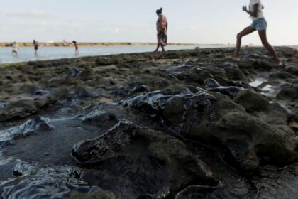 estrangeiros-atrasam-investigacao-sobre-oleo-no-litoral-do-nordeste