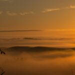 como-sabemos-do-que-o-sol-e-feito,-se-ninguem-nunca-foi-ate-la?