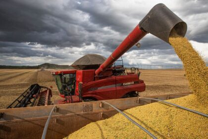 producao-de-graos-deve-crescer-14%-e-chegar-a-340-milhoes-de-toneladas