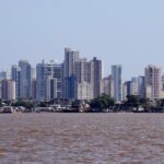 apesar-de-aparentemente-antagonicas,-florestas-e-cidades-sao-uma-frente-comum-na-luta-pelo-clima