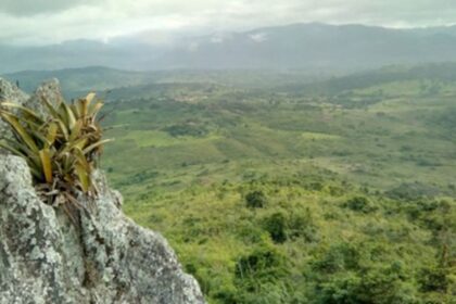 pesquisador-indigena-cataloga-150-plantas-medicinais-de-seu-territorio