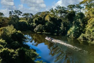 cop30:-sedimentos-marinhos-contam-a-historia-de-2-milhoes-de-anos-do-clima-da-bacia-amazonica