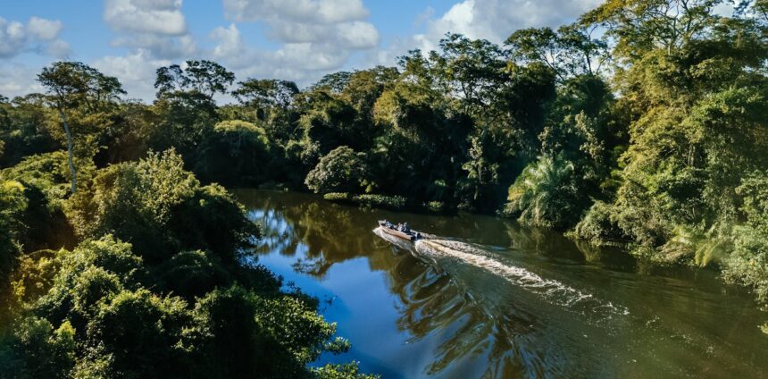 cop30:-sedimentos-marinhos-contam-a-historia-de-2-milhoes-de-anos-do-clima-da-bacia-amazonica