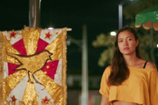 tv-brasil-comeca-a-exibir-serie-condor,-producao-independente do-para