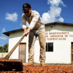 programa-nacional-de-territorios-sustentaveis:-o-que-e-e-por-que-o-brasil-precisa-ter-o-seu