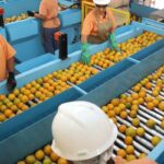 confira-a-lista-de-quase-700-produtos-que-nao-serao-taxados-pelos-eua