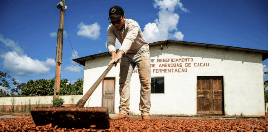 programa-nacional-de-territorios-sustentaveis:-o-que-e-e-por-que-o-brasil-precisa-ter-o-seu