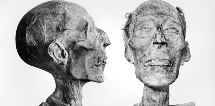 falsificacoes-em-museus:-mumias-vingativas,-assassinatos-rituais-e-memes-na-cultura-popular