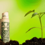 creditos-de-carbono-no-brasil-sao-contra-as-leis-da-natureza.-e-isso-nao-e-bom