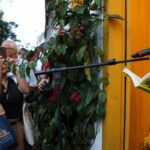 flip:-34-mil-pessoas-estiveram-na-festa-que-homenageou-leminski