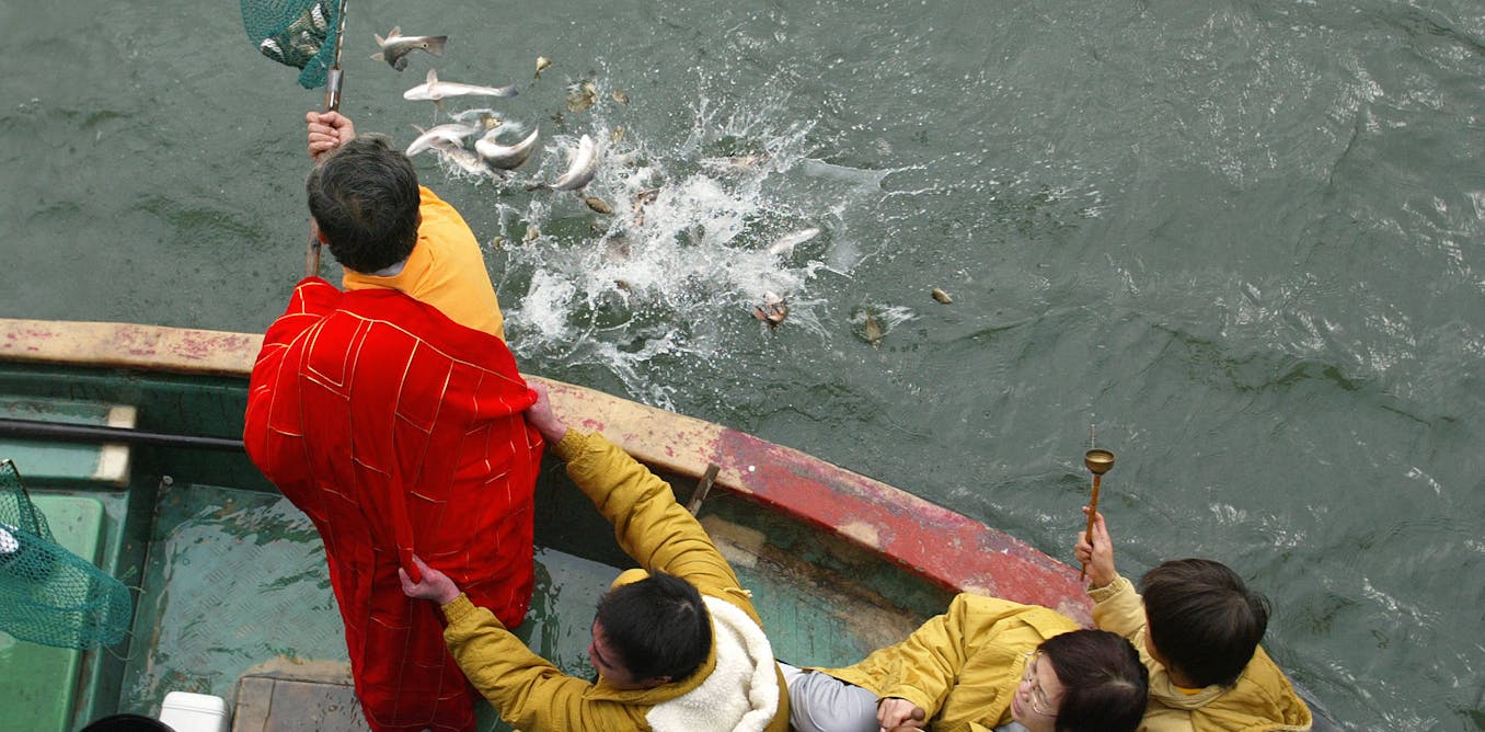 guerra,-politica-e-religiao-moldam-a-evolucao-da-vida-selvagem-nas-cidades