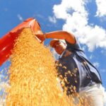 balanca-comercial-tem-menor-superavit-para-julho-em-tres-anos
