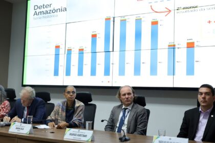 em-12-meses,-desmatamento-cai-20%-no-cerrado-e-sobe-4%-na-amazonia