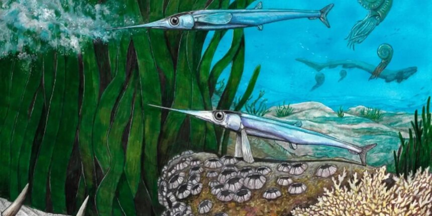cientistas-brasileiros-identificam-nova-especie-de-peixe-pre-historico
