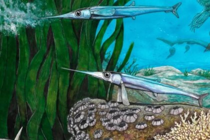 cientistas-brasileiros-identificam-nova-especie-de-peixe-pre-historico