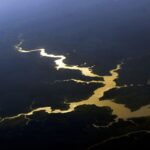 fundo-amazonia-completa-17-anos-com-novos-investimentos