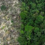 brasil-perdeu-111,7-milhoes-de-hectares-de-areas-naturais-em-40-anos