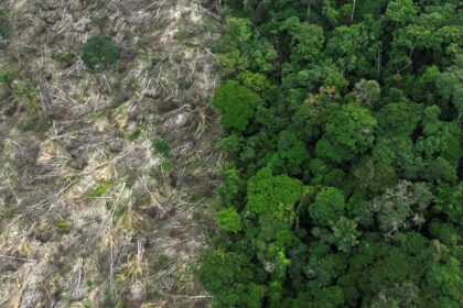 brasil-perdeu-111,7-milhoes-de-hectares-de-areas-naturais-em-40-anos