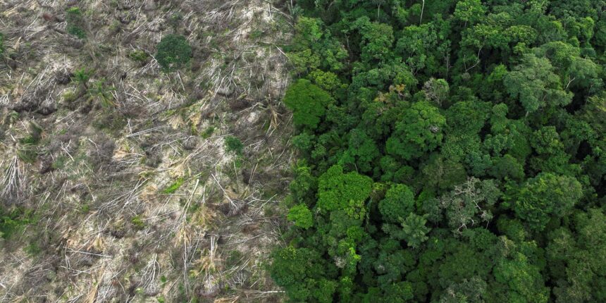 brasil-perdeu-111,7-milhoes-de-hectares-de-areas-naturais-em-40-anos