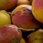 abrafrutas-apoia-plano-e-pede-atencao-a-pequenos-produtores