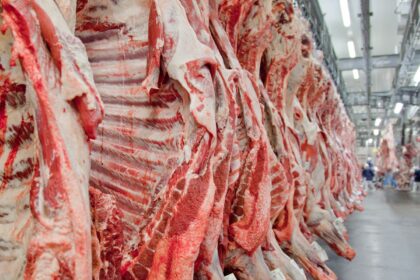 exportacao-de-carne-bovina-bate-recorde-em-mes-anterior-ao-tarifaco