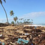 como-microbios-podem-ajudar-a-resolver-a-crise-global-de-poluicao-por-plasticos