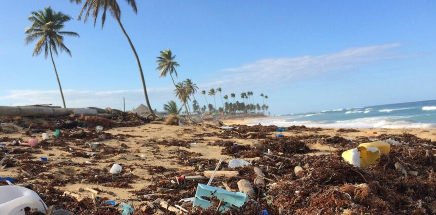 como-microbios-podem-ajudar-a-resolver-a-crise-global-de-poluicao-por-plasticos