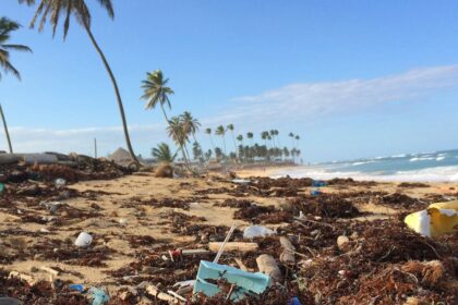 como-microbios-podem-ajudar-a-resolver-a-crise-global-de-poluicao-por-plasticos