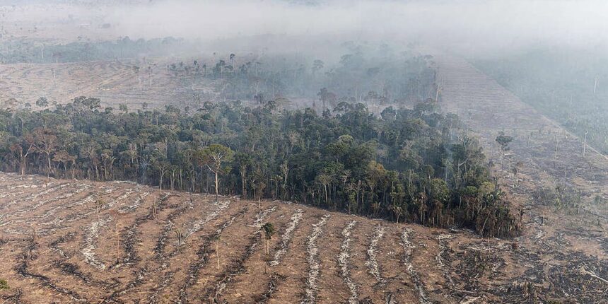 apenas-7%-de-acoes-judiciais-de-grilagem-na-amazonia-tem-condenacao