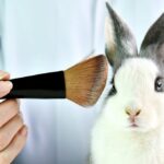 pesquisas-brasileiras-ja-desenvolvem-novos-cosmeticos-sem-usar-animais