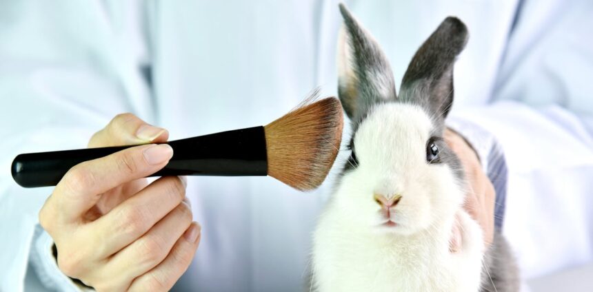 pesquisas-brasileiras-ja-desenvolvem-novos-cosmeticos-sem-usar-animais