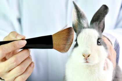 pesquisas-brasileiras-ja-desenvolvem-novos-cosmeticos-sem-usar-animais