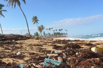 como-microbios-podem-ajudar-a-resolver-a-crise-global-de-poluicao-por-plasticos