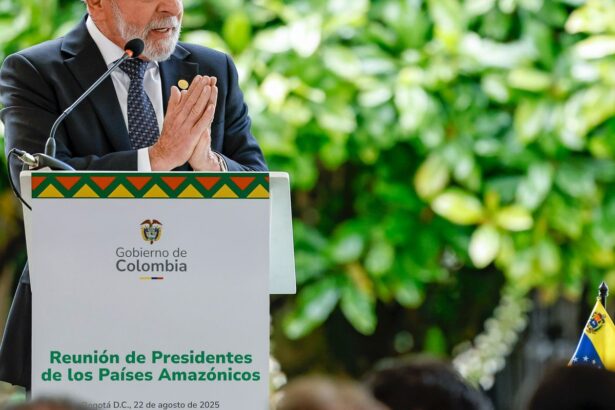 lula-cobra-financiamento-robusto-para-combate-as-mudancas-do-clima