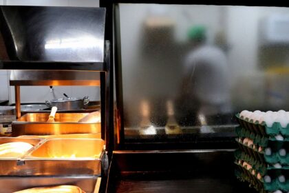 setor-de-servicos-atingiu-recorde-de-15,2-milhoes-de-empregos-em-2023