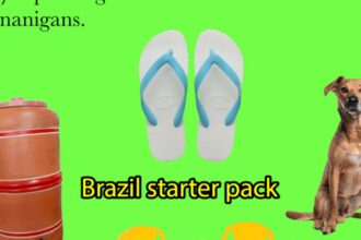 vocacao-brasileira-para-memes-ganha-exposicao-no-ccbb